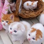 Rita Müller - @rita.muller.7923 - Instagram
