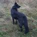 Rita Nardi - Facebook