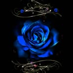 Rita Nemeth - Facebook