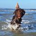 Rita Neubauer - Facebook