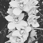 Pho - @rita.nye.585 - Instagram