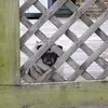 Rita Oates - @rita.oates3 - TikTok