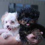 Rita Marie O'Brien - @ritamarie.obrien - Instagram
