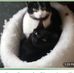 Rita OConnor - Facebook
