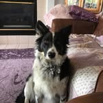 Rita O'Donnell - @miacat778ro - Instagram