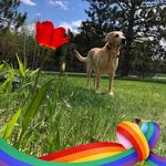 Rita Olson - @rita_olson6 - Instagram