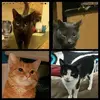 ritaoneill1960 - @ritaoneill1960 - TikTok