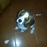 Rita Ortolani - @rita.ortolani.74 - Instagram