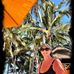 Rita Osborn - Facebook