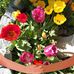 Rita Parada - Facebook