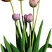 Rita Parent - Facebook