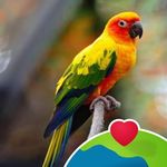Rita Parent - @rita.parent.3 - Instagram