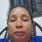 Maria Rita Da Silva passaros - @mariaritadasilvapassaros - Instagram