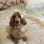 Rita Passaro - @puzzola1954 - Instagram