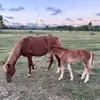 Rita Paulus - @ritapaulus - TikTok