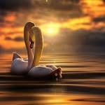 Rita Pennisi - @rita.pennisi.372 - Instagram
