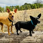 Penny & Rita Marchetti - @penny_rita_hit_the_road - Instagram