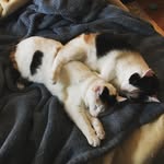 Penny and Rita Woodland - @pennyandrita - Instagram