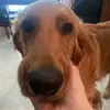 pennynrita - @pennynrita - TikTok