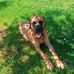 Rita Perrine - Facebook