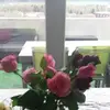 Rita Perrino - @rita.perrino - TikTok