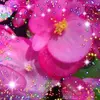 Rita Petersen - @rita.petersen4 - TikTok