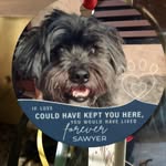 Rita Schultz Pettit - @rita.pettit.18 - Instagram