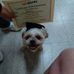 Rita Pickering - Facebook