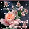 ritapolidoro629 - @ritapolidoro629 - TikTok
