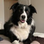 Rita Poling - @rita32899 - Instagram