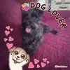 ritapoling6 - @ritapoling6 - TikTok
