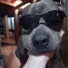 posselt😝 - @vitoria_.posselt047 - TikTok