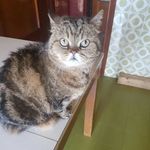 ritaprateria - @ritaprateria51 - Instagram