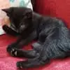 Rita Proctor Reet - @rita.proctor.reet - TikTok