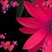 Rita Quick - Facebook