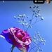 Rita Rai - Facebook