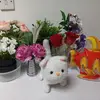 Rita Rai - @rita.rai650 - TikTok