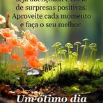Rita Ramalho - Facebook