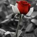 Raday Sikder - Facebook