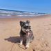 Rita Ramsay - Facebook