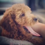 Rita Raspberry 🩷 - @ritaraspberrymke - Instagram