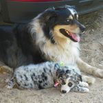 Rita Ratliff Love - @unclefluff1 - Instagram