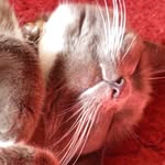 Rita Rees - @ritarees70 - Instagram
