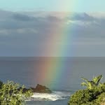Rita Keakealani Reeves - @r.keakealani - Instagram