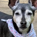 Rita Reilly Kolloway - @ritareillykolloway - Instagram