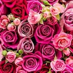 Rita Riccardi - Facebook