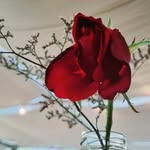 Rita Ritz - @ritaritz2022 - Instagram