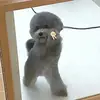 riri - @roachrita - TikTok