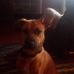 Rita Roach - Facebook