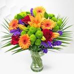 Rita Robison - Facebook